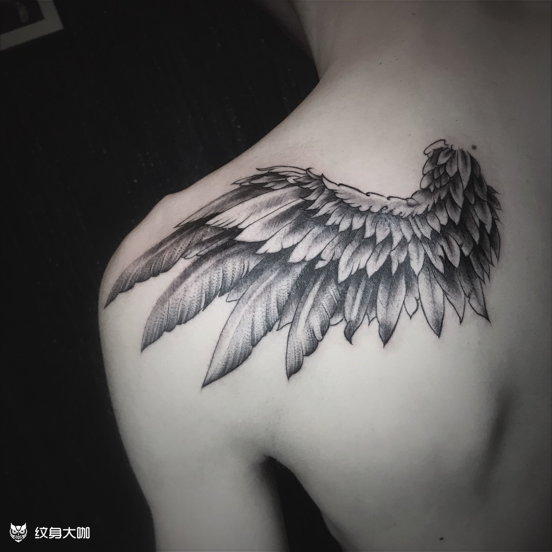 翅膀._纹身图案手稿图片_董一龙的纹身作品集