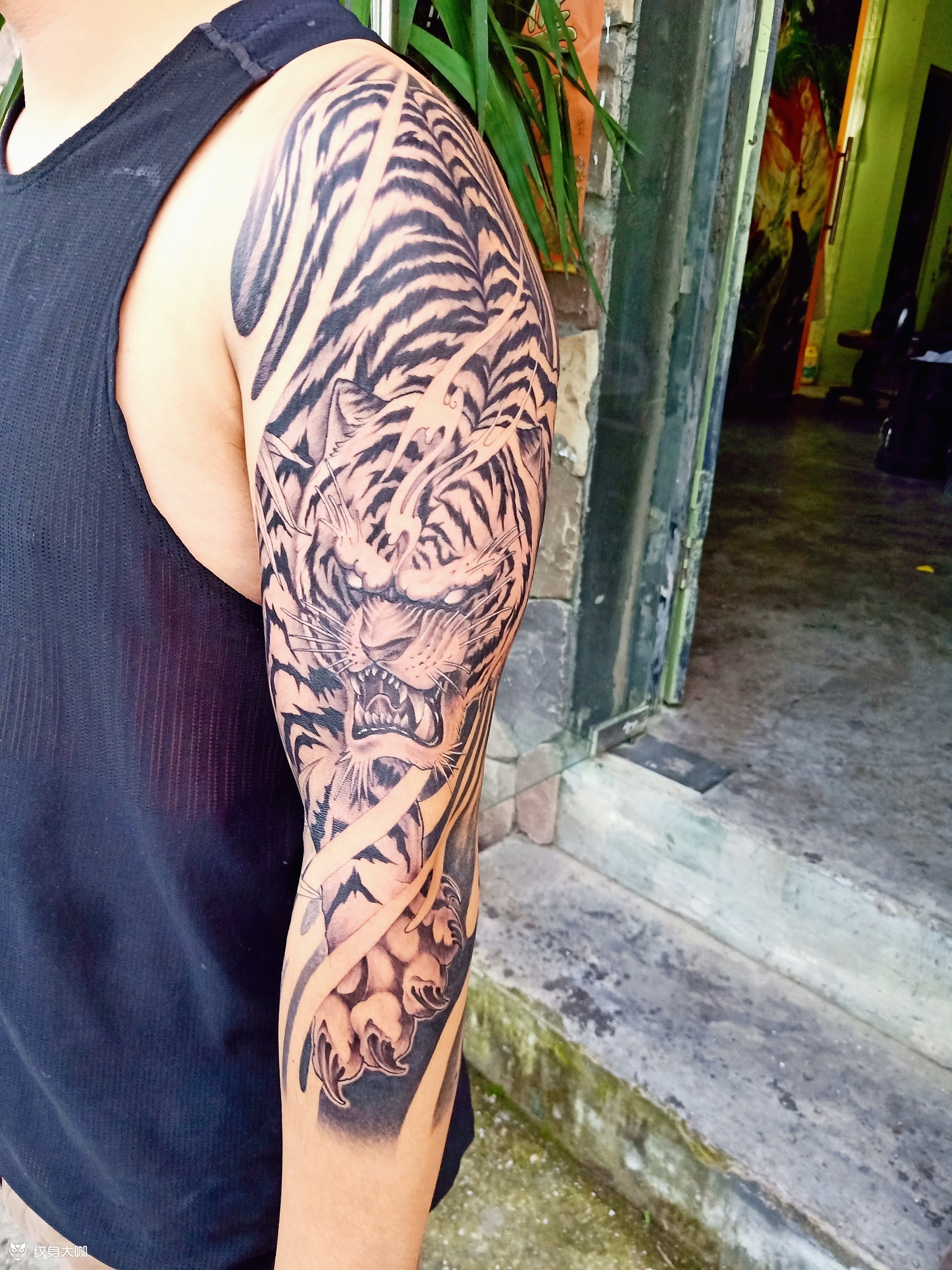老虎_纹身图案手稿图片_樊利君的纹身作品集