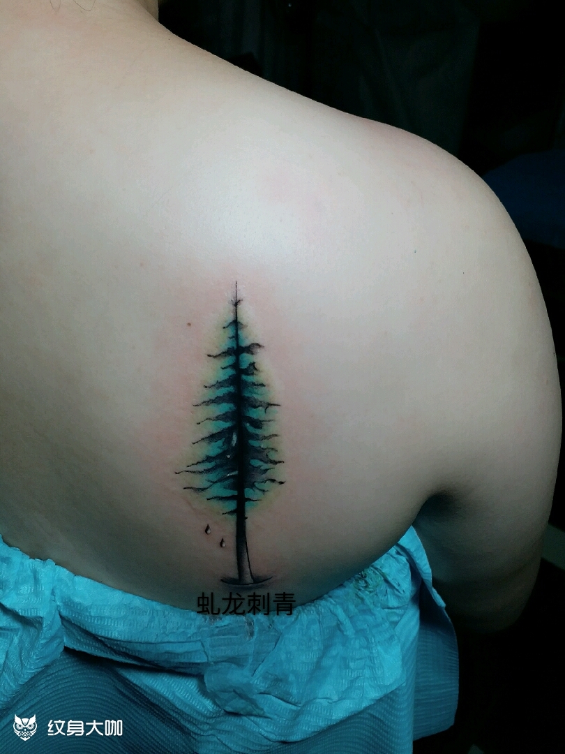 松树_纹身图案手稿图片_虬龙的纹身作品集