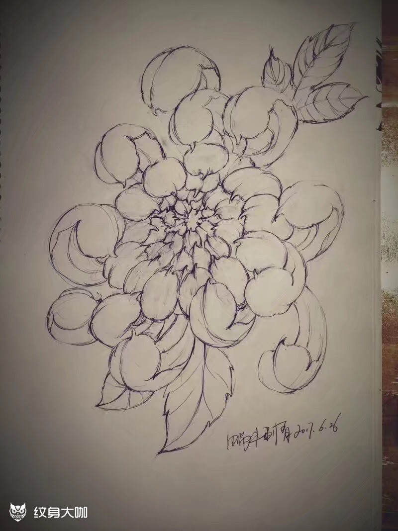 菊花纹身手稿 黑白图片