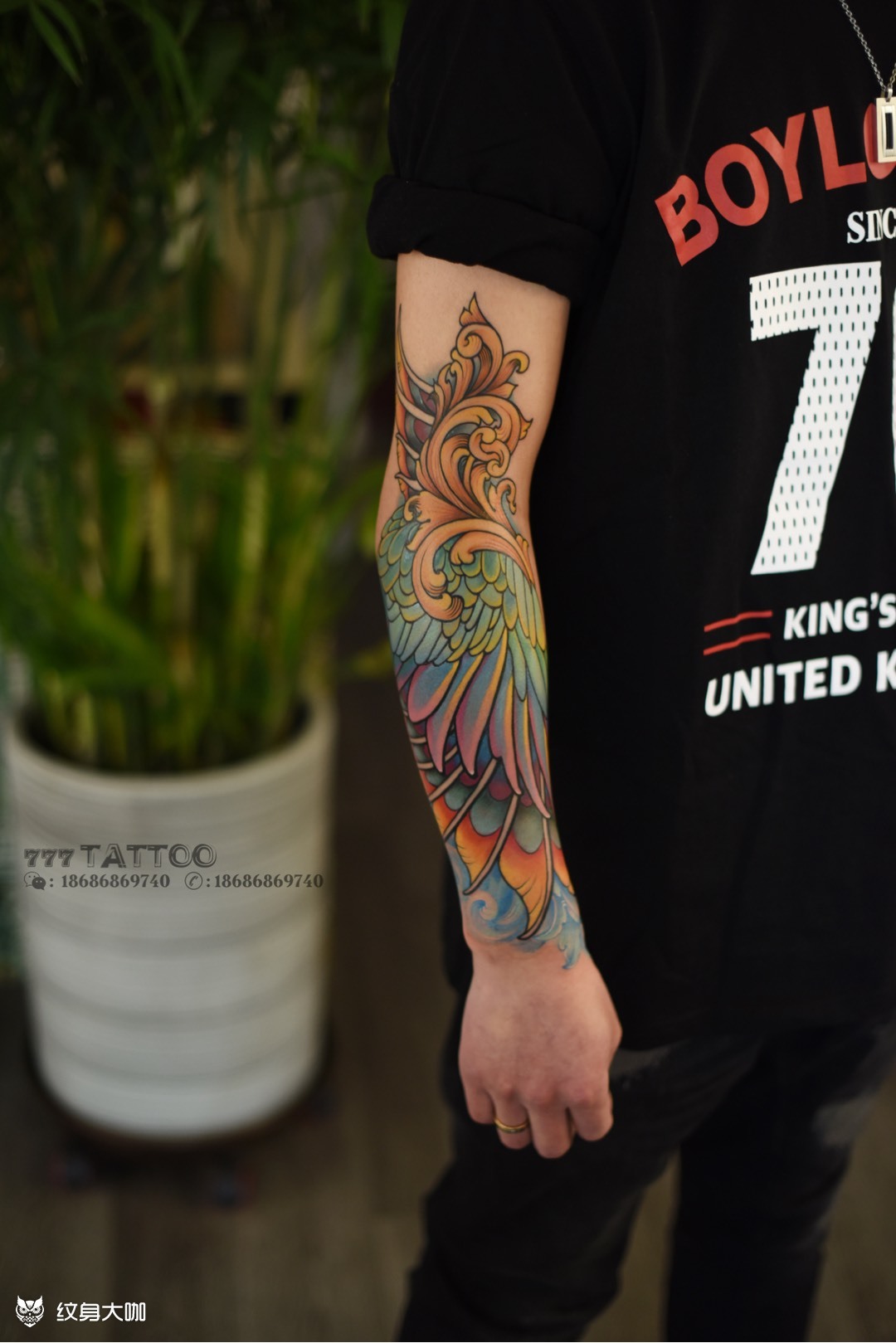 彩色翅膀纠结过去,担心未来