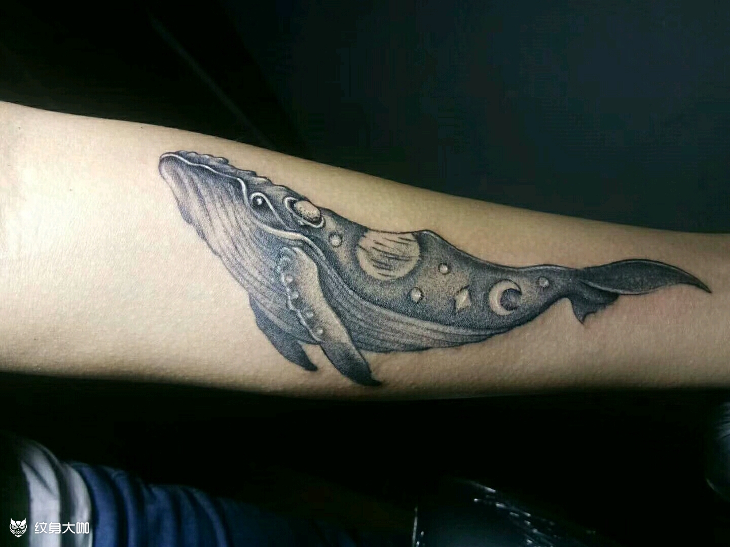 鲸_纹身图案手稿图片_七九的纹身作品集