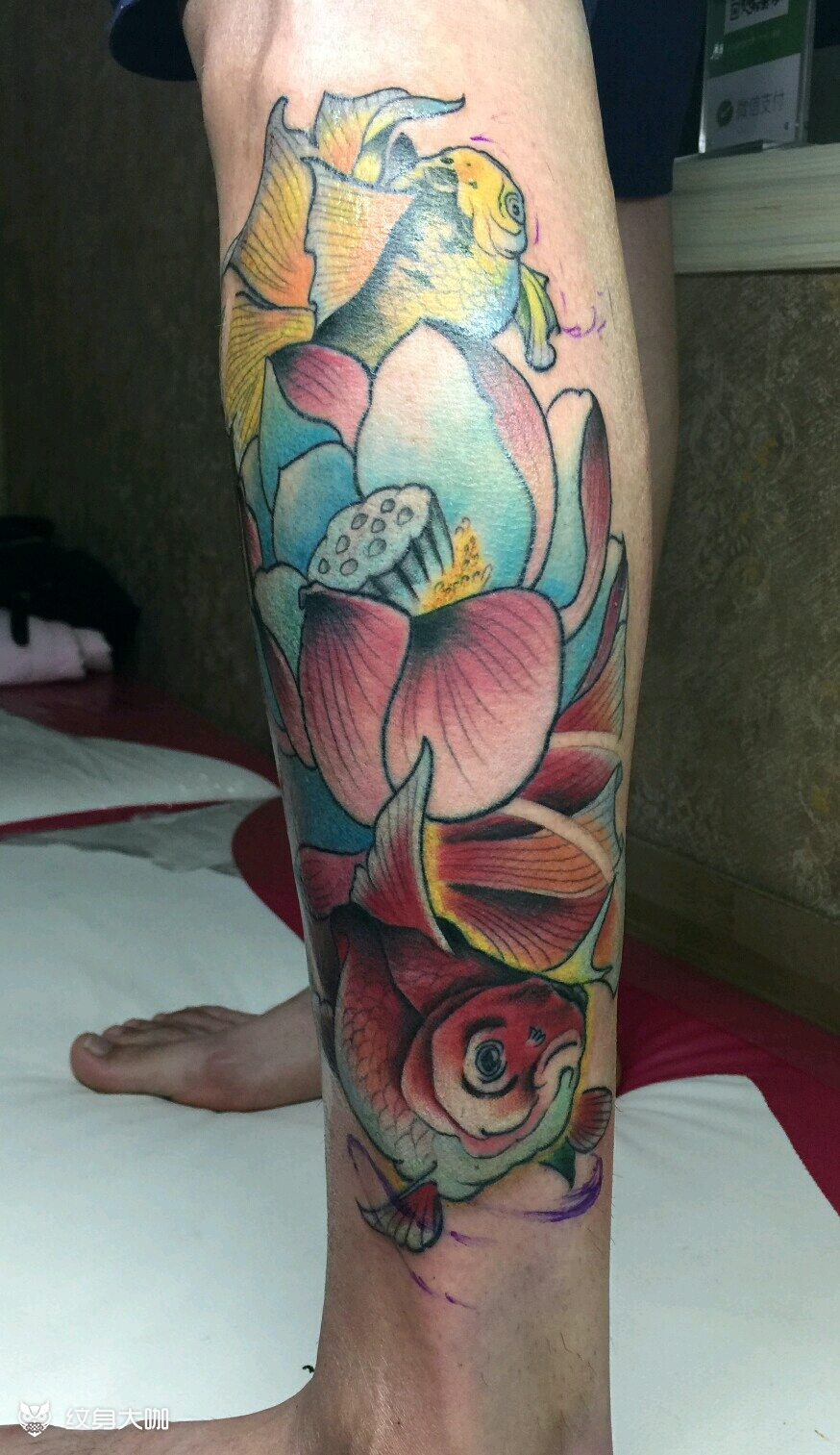 金鱼荷花_纹身图案手稿图片_不二先生的纹身作品集