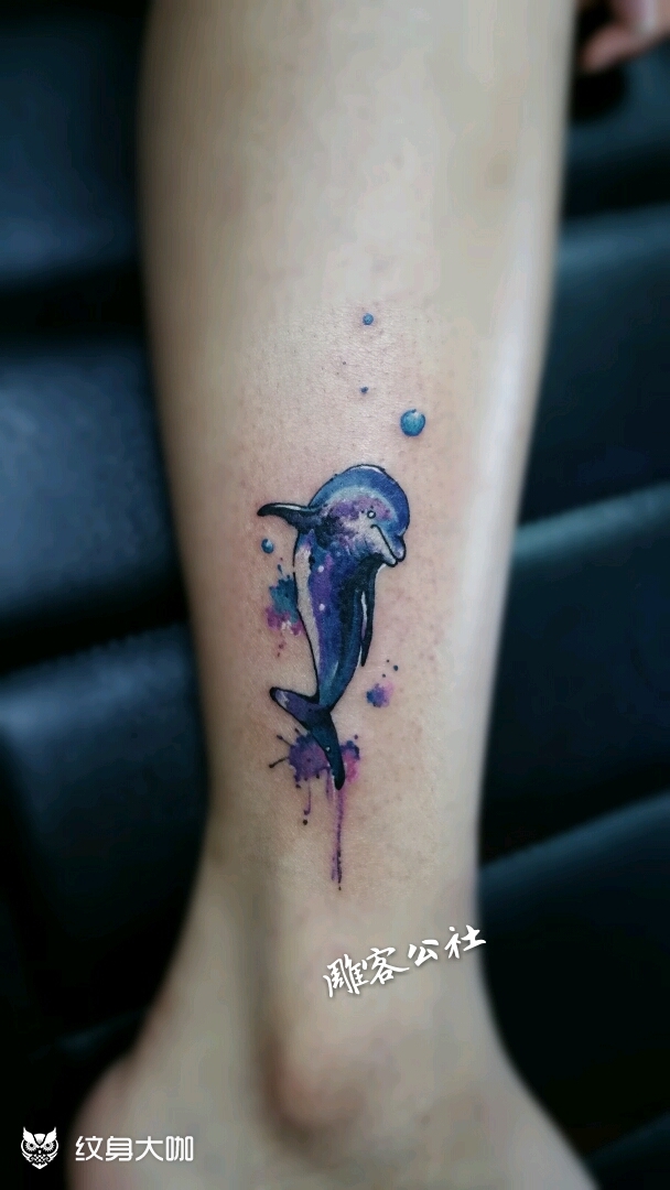 海豚_纹身图案手稿图片_赵亚涛的纹身作品集