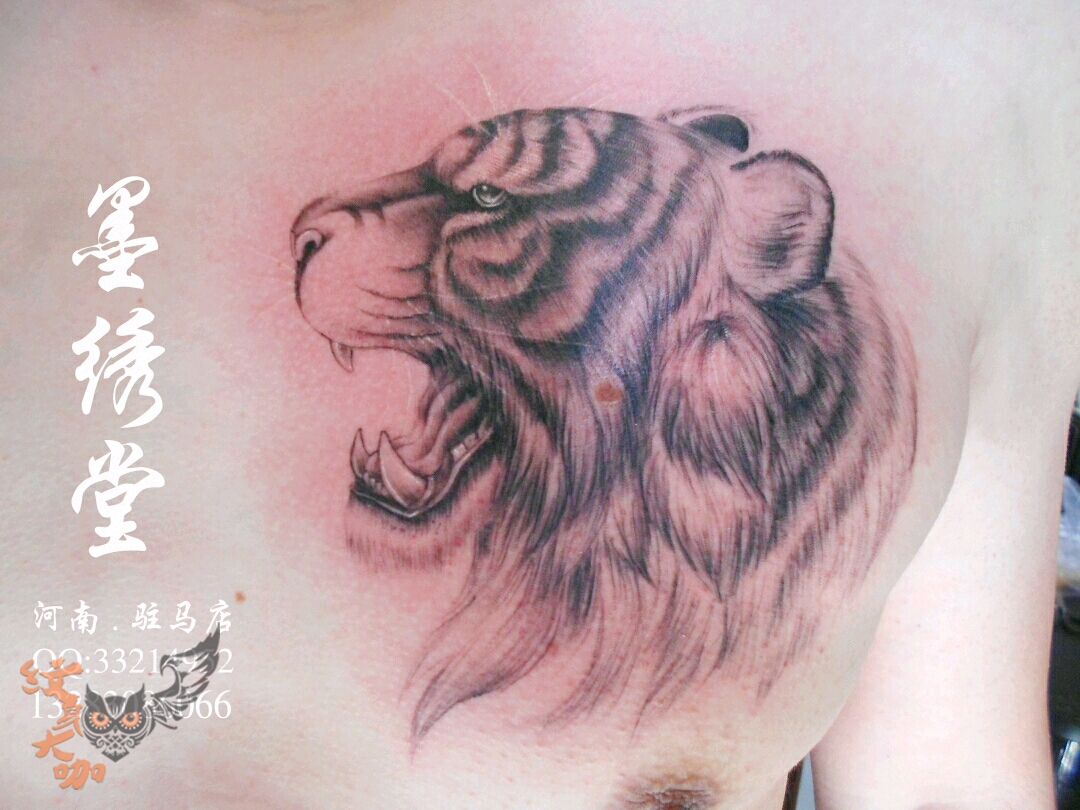 虎头_纹身图案手稿图片_陈旭光的纹身作品集