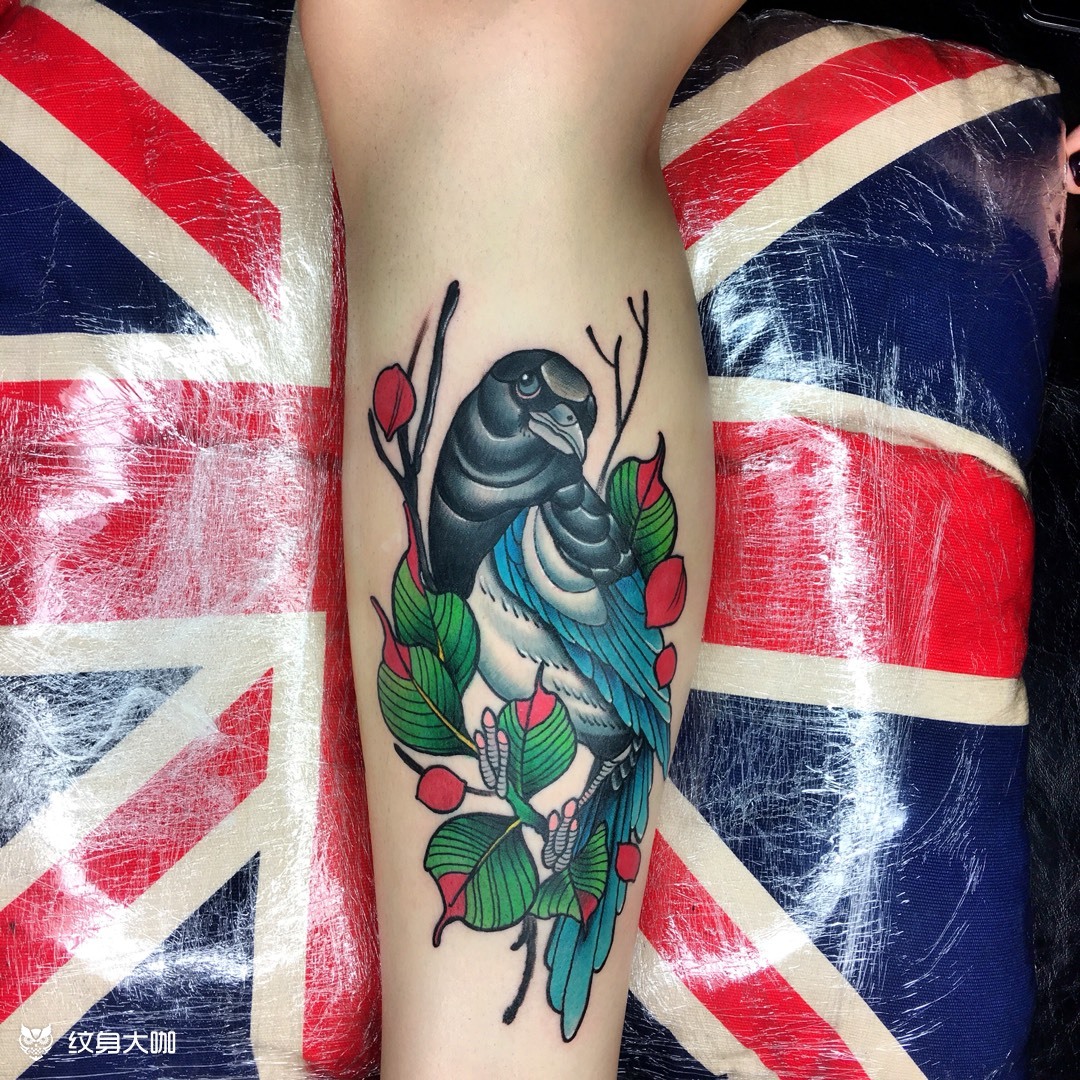 鸽子_纹身图案手稿图片_刘子豪的纹身作品集