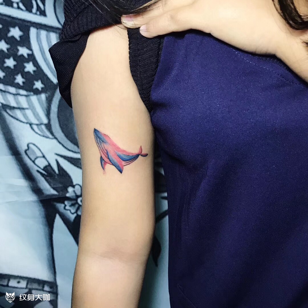 鲸鱼_纹身图案手稿图片_郭俊甫的纹身作品集