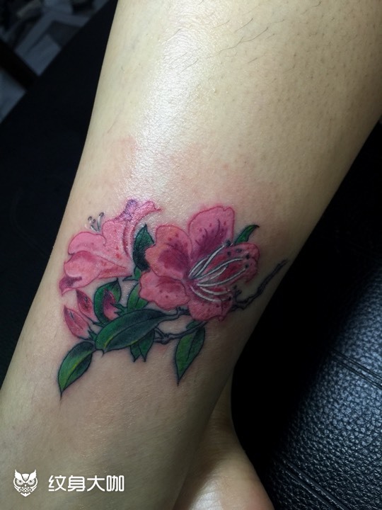 映山红_纹身图案手稿图片_杨寒的纹身作品集