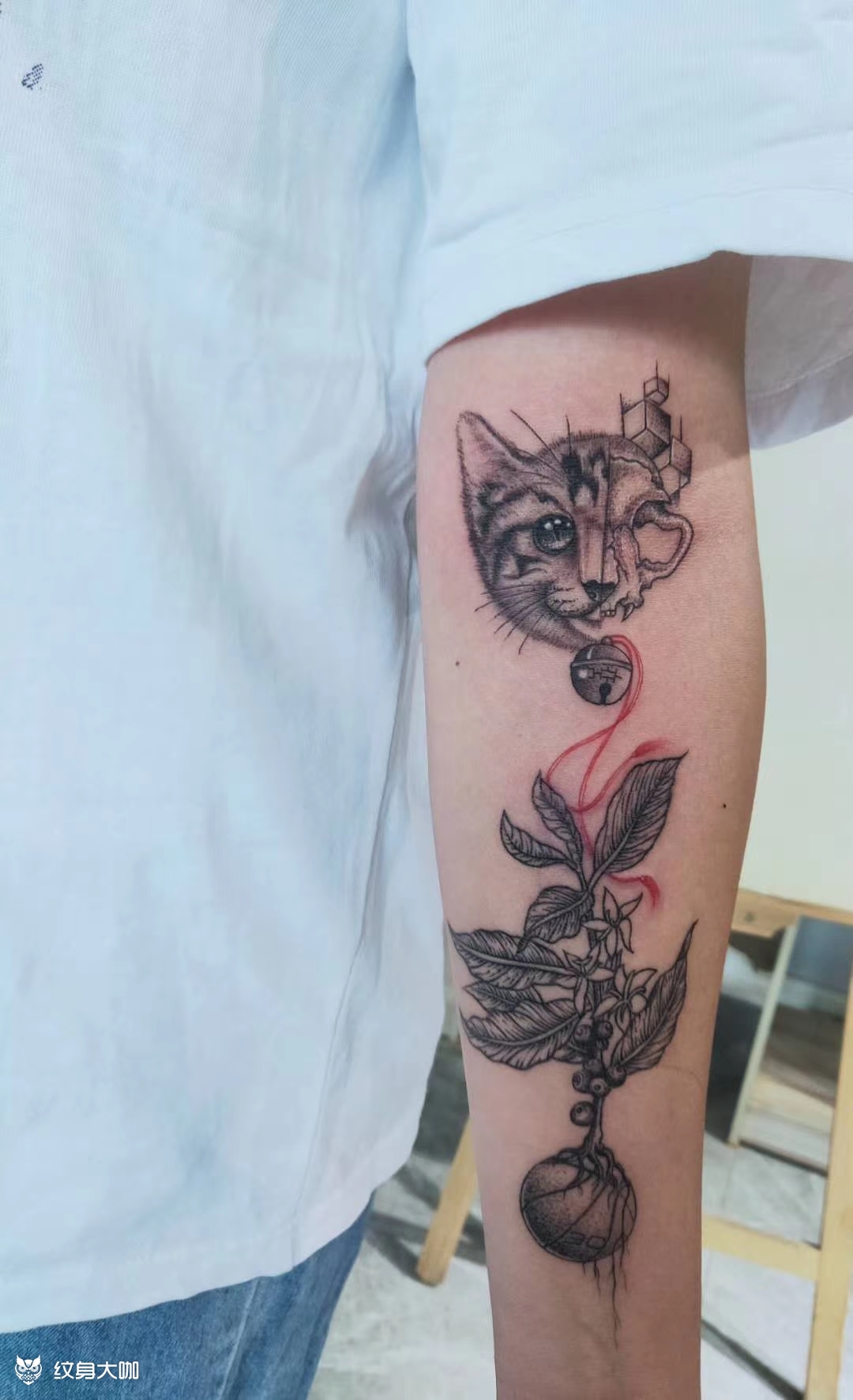 客人的猫_纹身图案手稿图片_胜松的纹身作品集