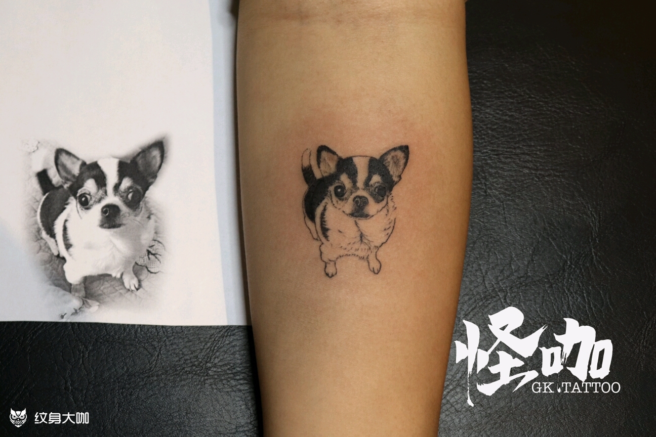 狗狗_纹身图案手稿图片_天津怪咖的纹身作品集