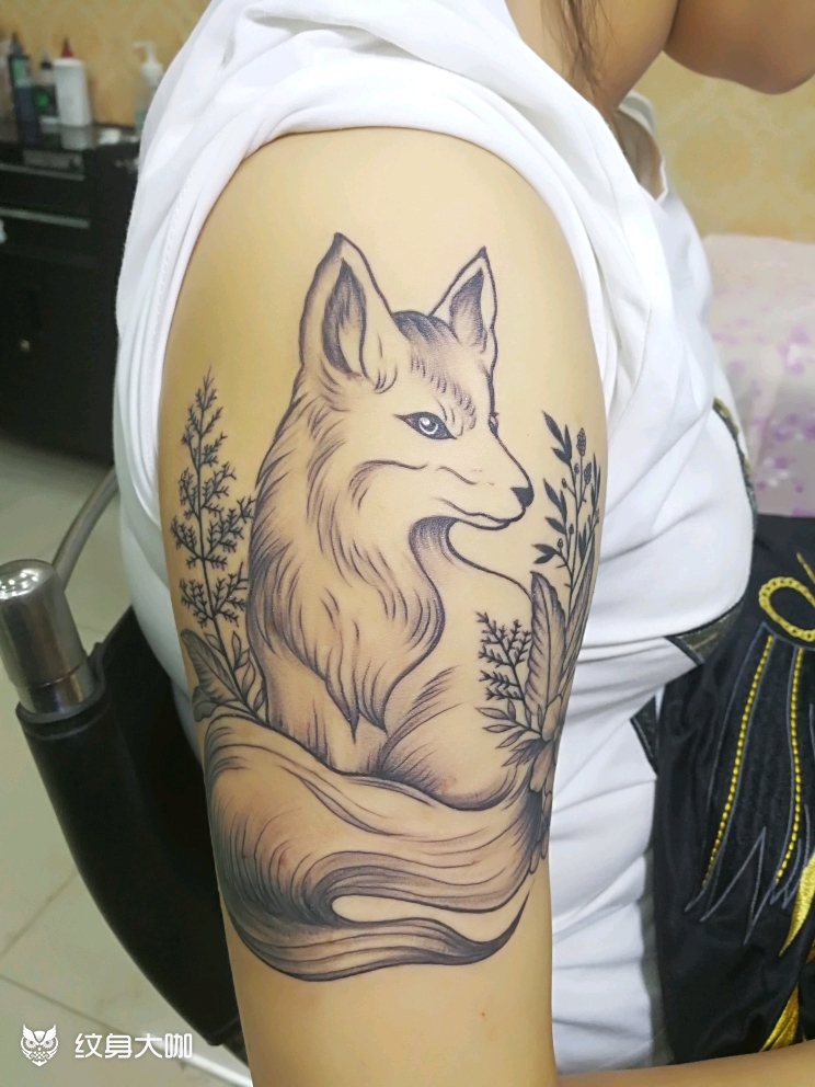 狐狸_纹身图案手稿图片_刺客的纹身作品集