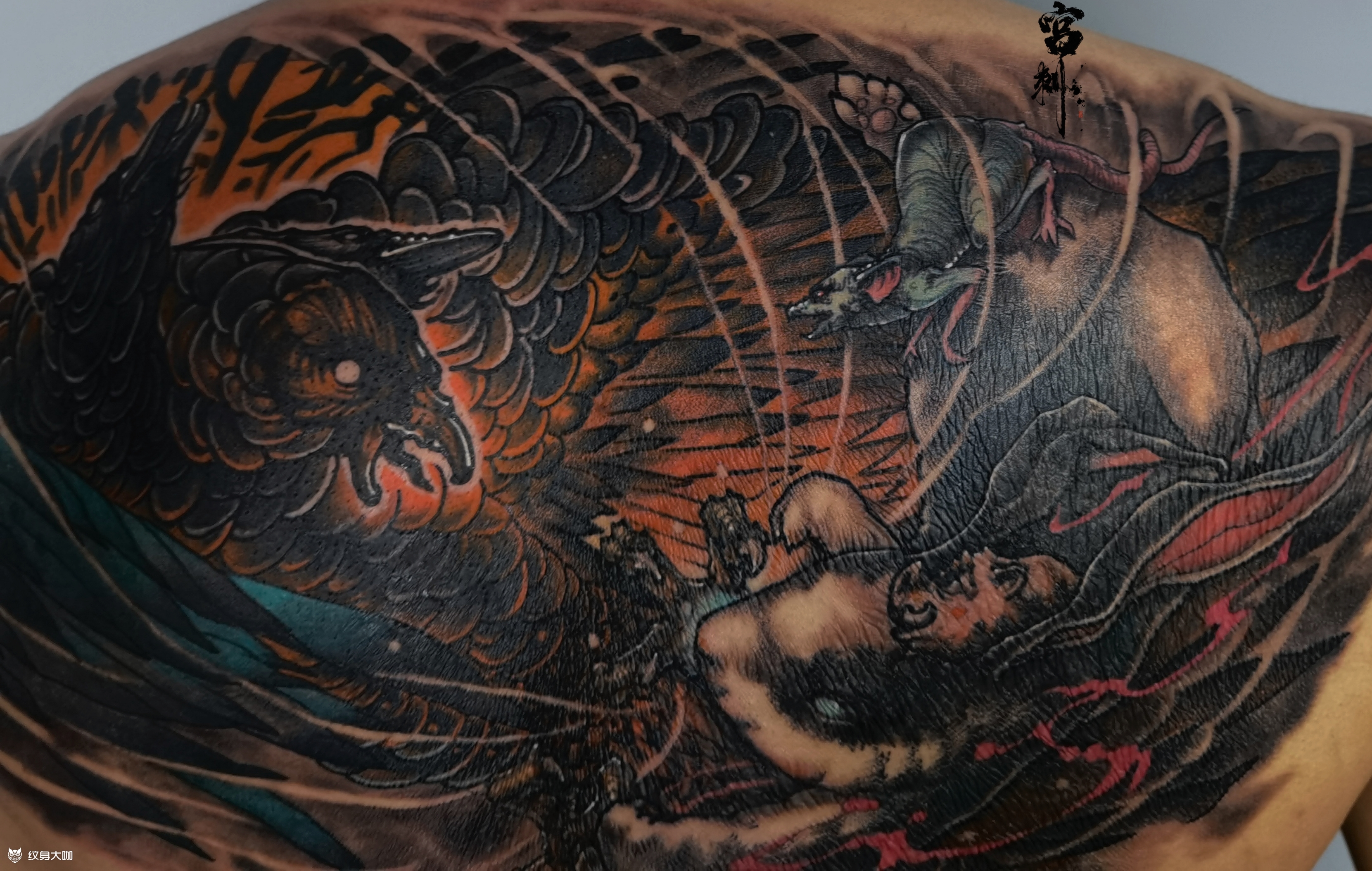 三头金乌大战小白兔,截稿_纹身吧社区 - 纹身大咖