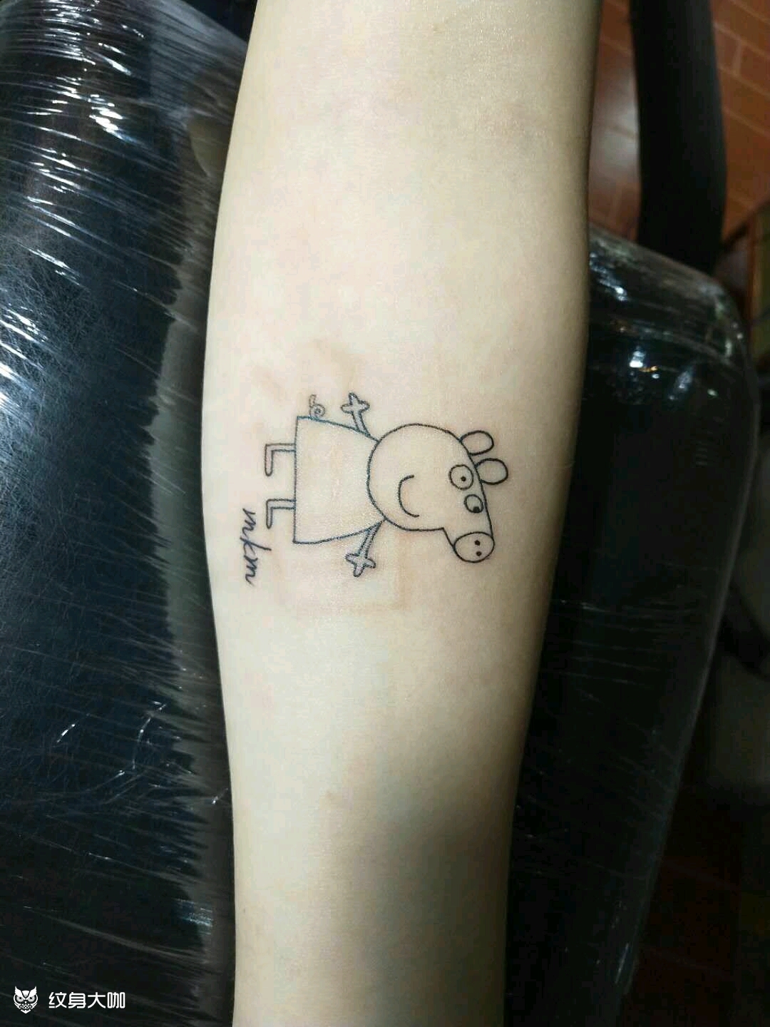 小猪佩奇_纹身图案手稿图片_霞姐的纹身作品集