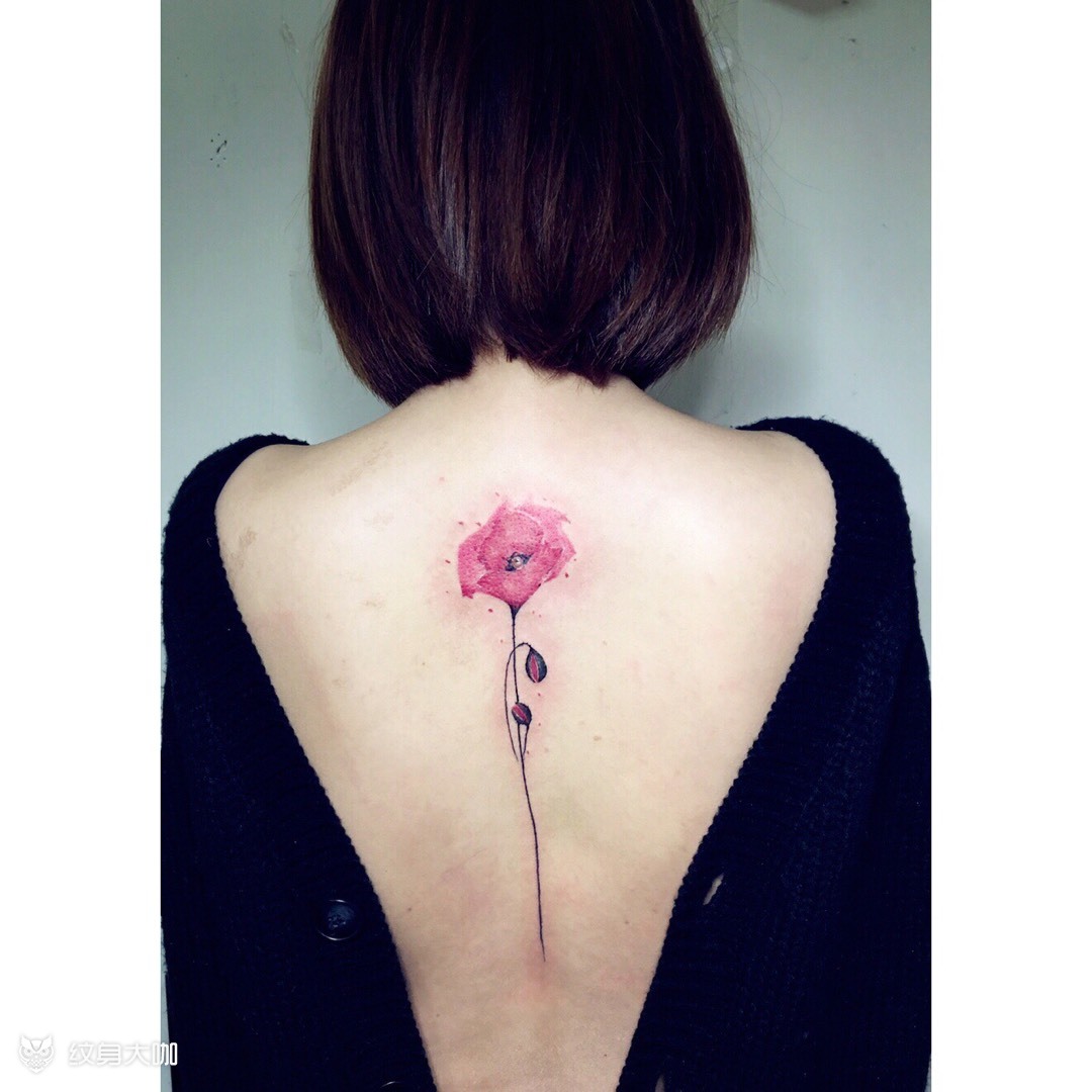 罂粟花_纹身图案手稿图片_sue的纹身作品集