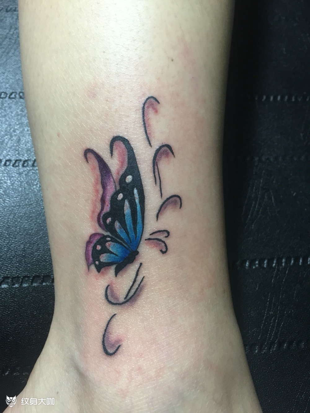 小腿蝴蝶_纹身图案手稿图片_明哥的纹身作品集