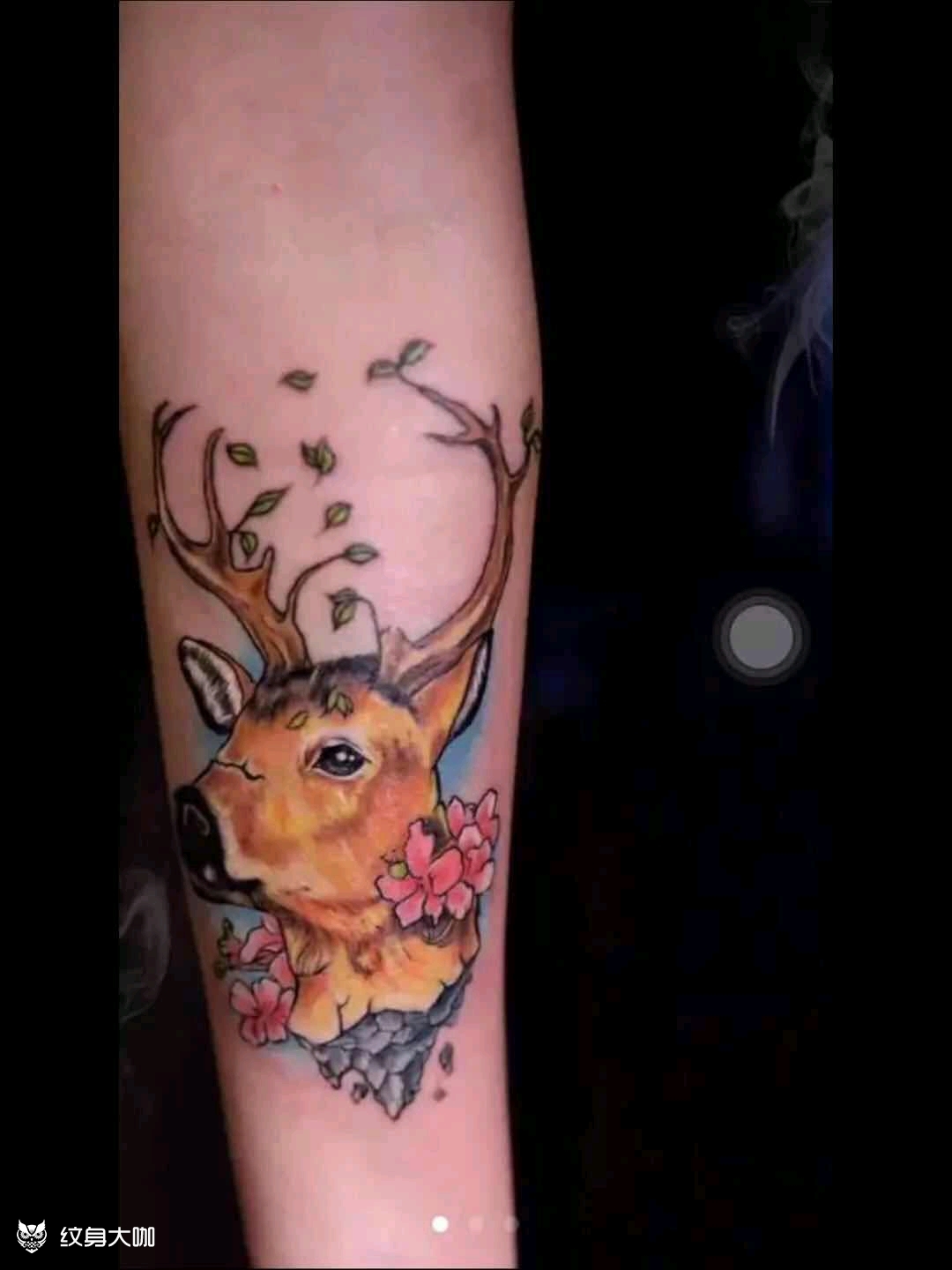 彩色麋鹿_纹身图案手稿图片_匠的纹身作品集