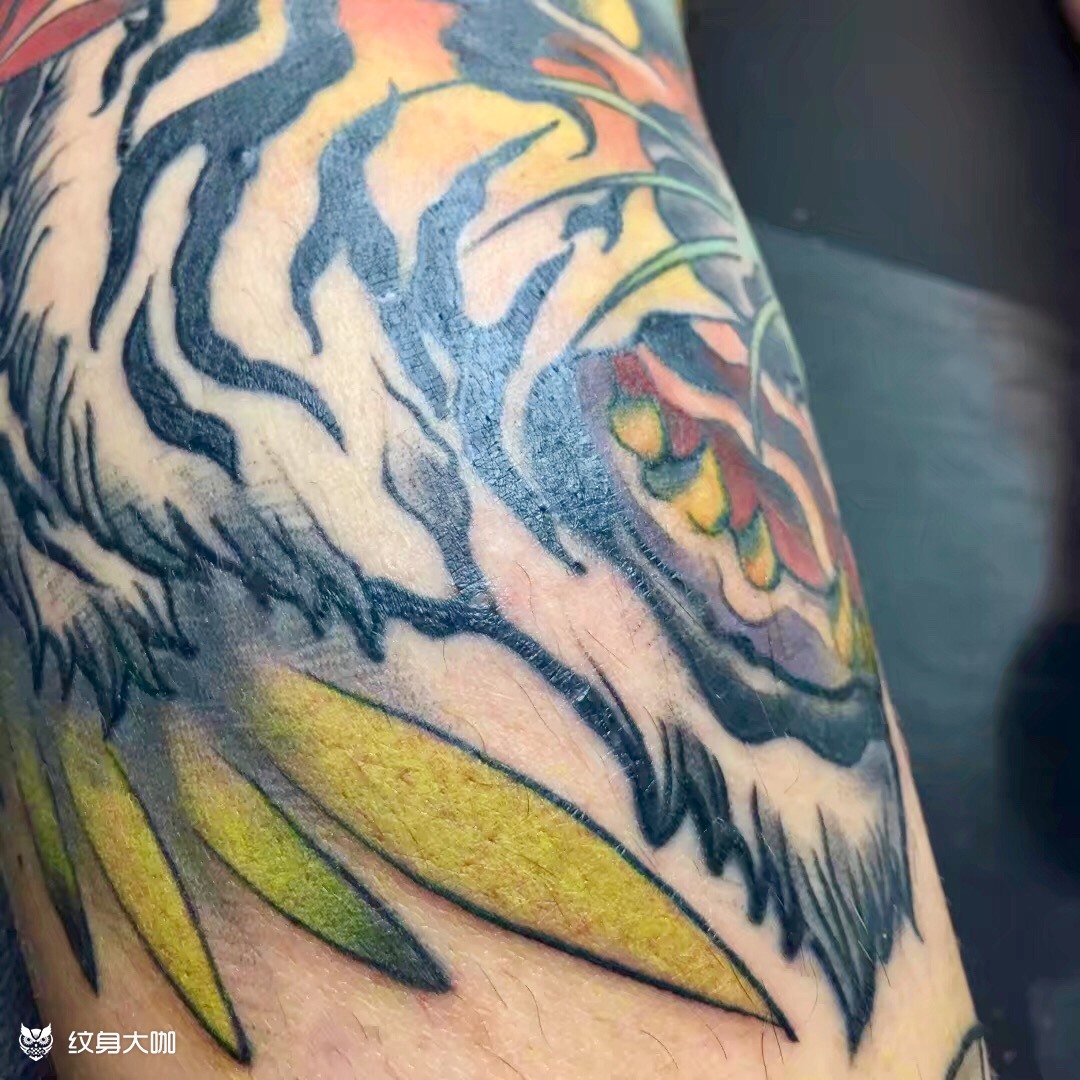 虎_纹身图案手稿图片_南天门的纹身作品集