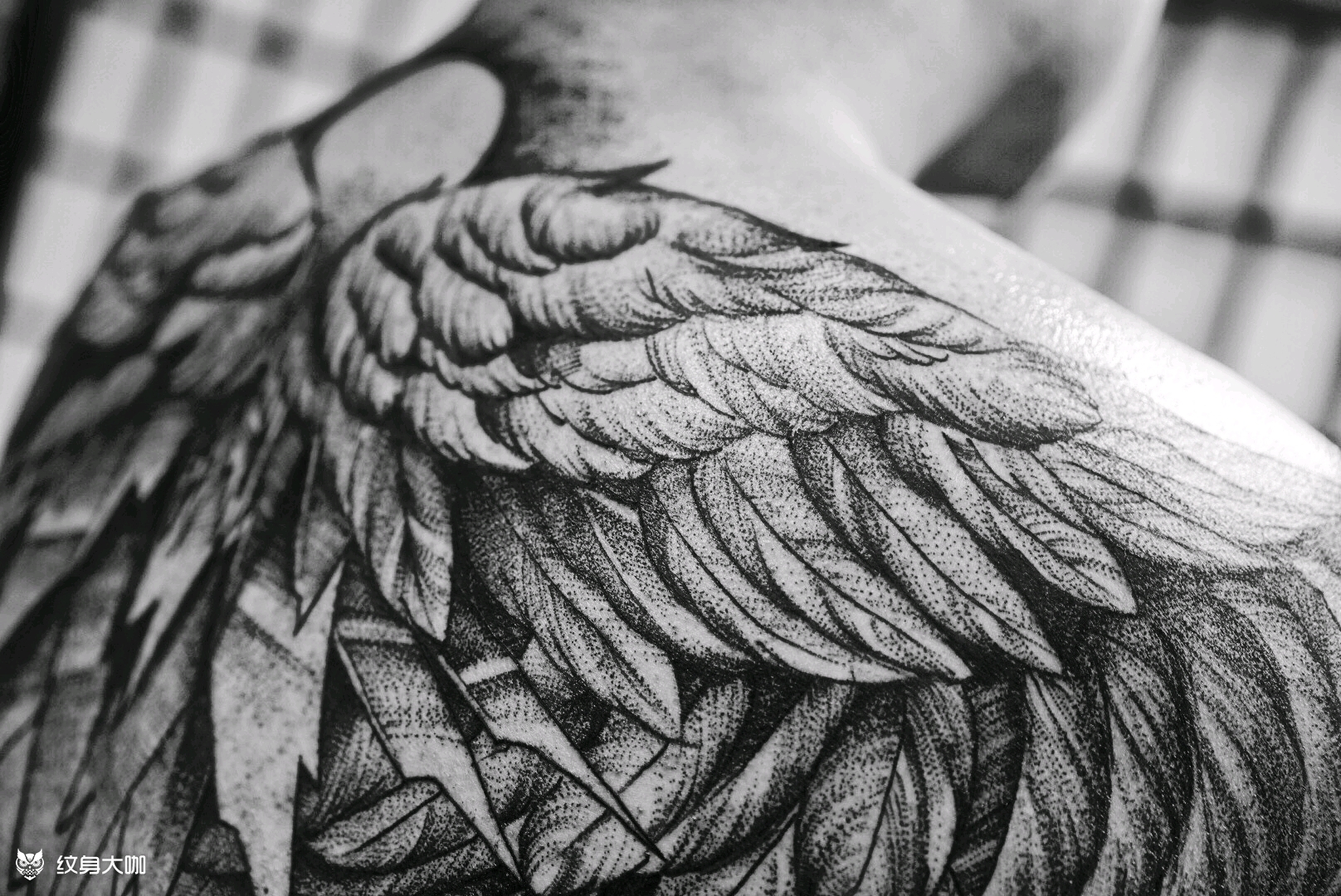纹身图案男翅膀满背图片