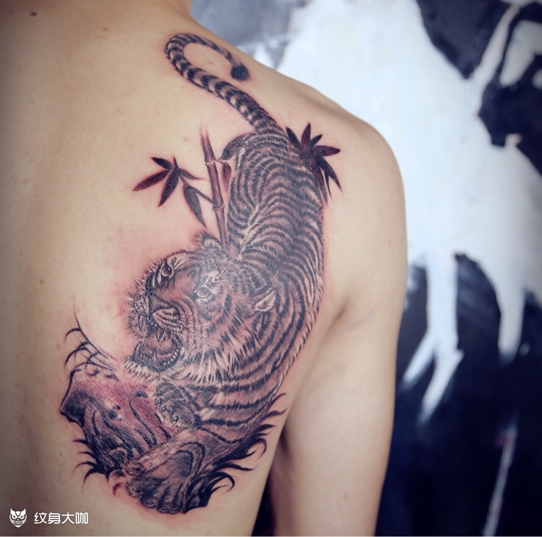 下山虎_纹身图案手稿图片_大漫的纹身作品集