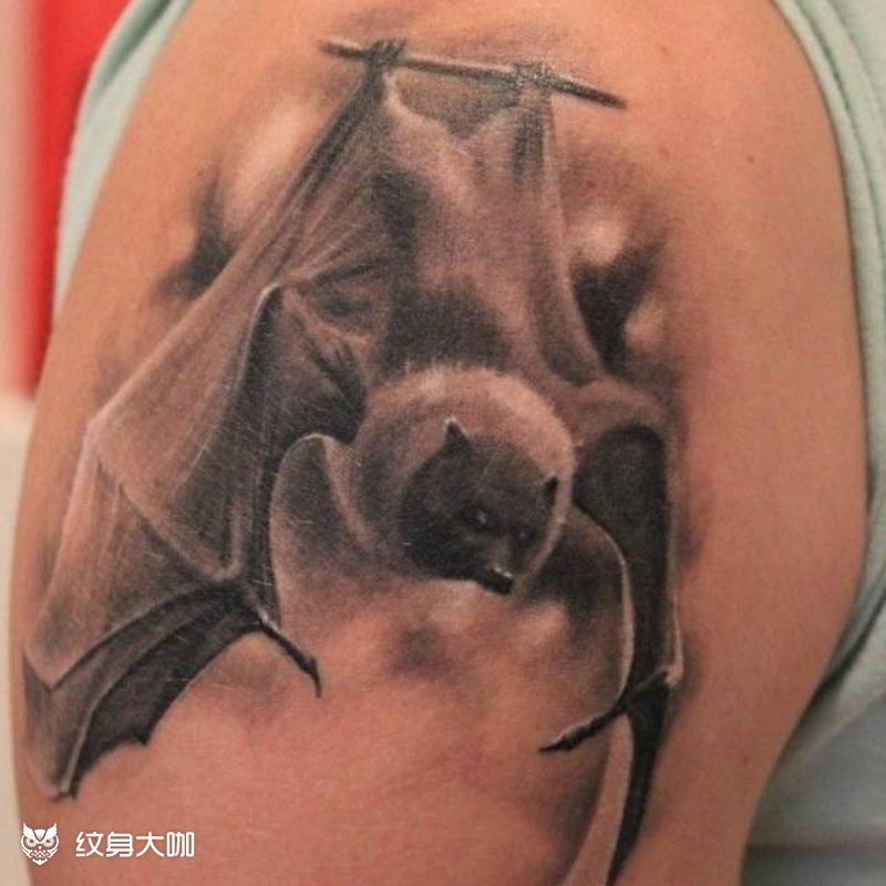 蝙蝠手臂纹身图案大全 纹身大咖