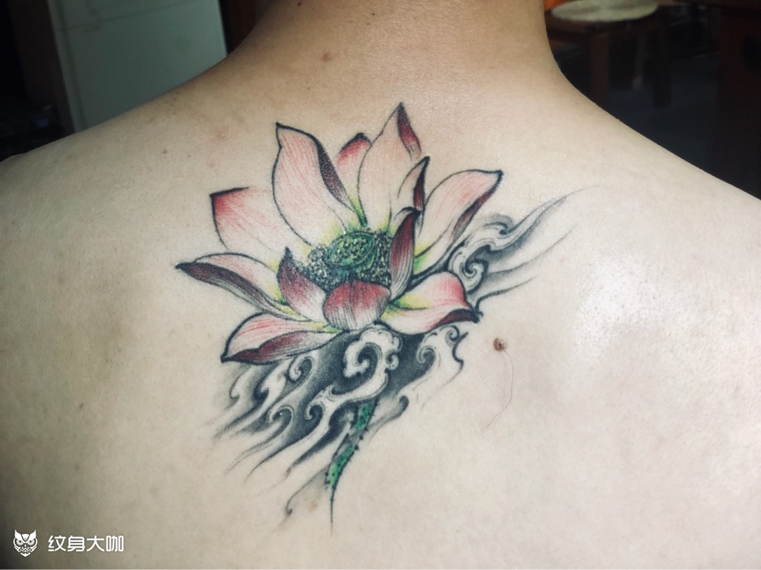 莲花_纹身图案手稿图片_李东阳的纹身作品集