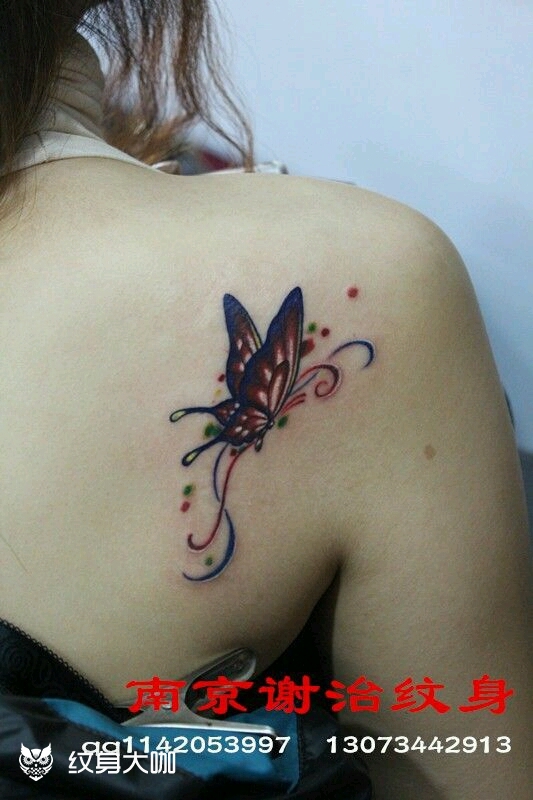 蝴蝶_纹身图案手稿图片_谢志的纹身作品集
