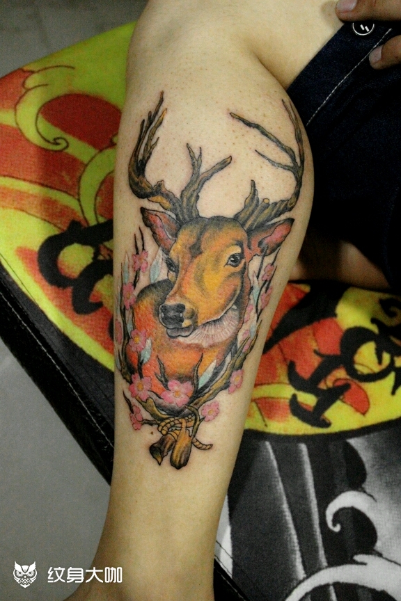 鹿头_纹身图案手稿图片_阿龙的纹身作品集