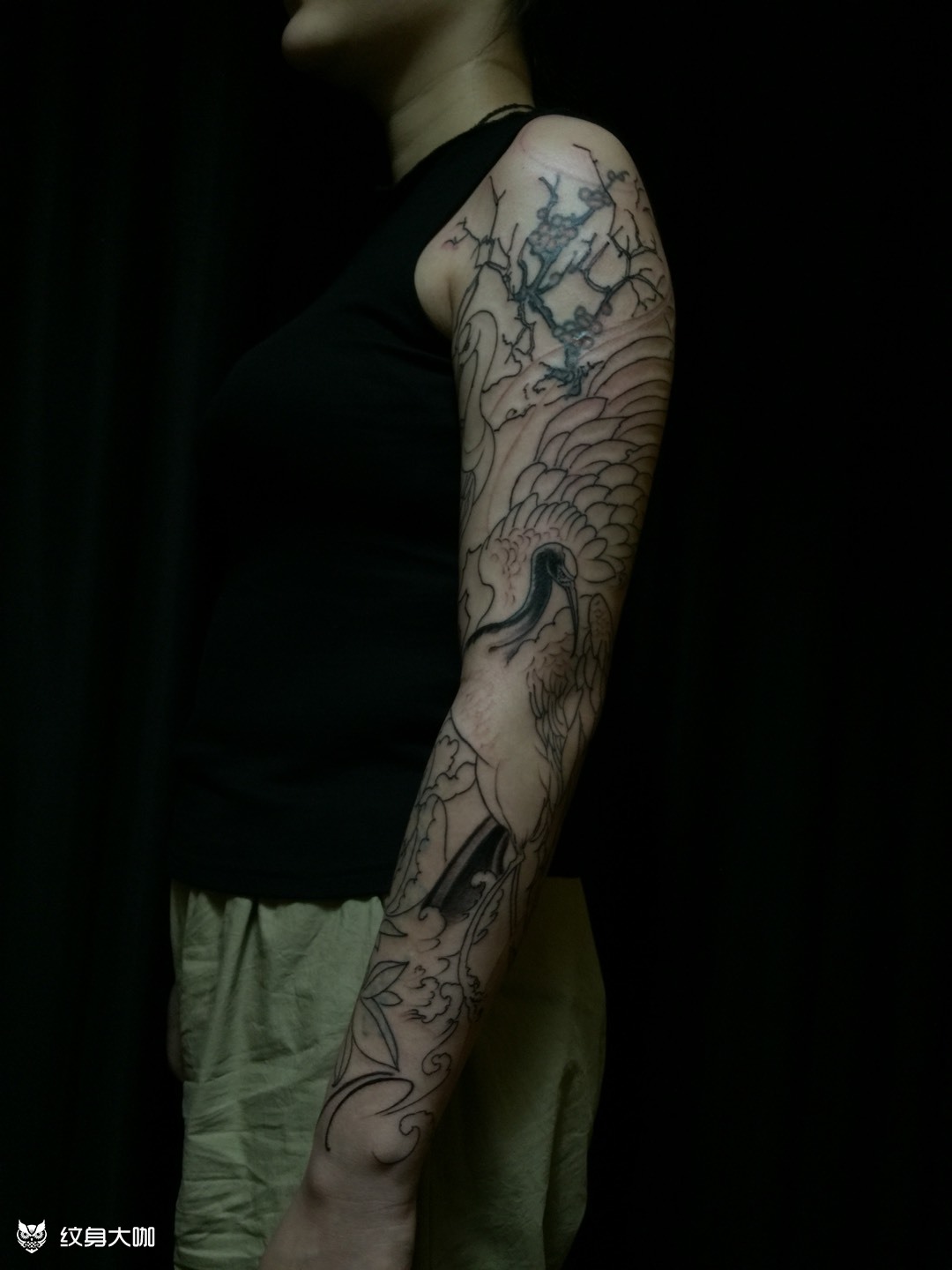 仙鹤花臂未完_纹身图案手稿图片_孙龙的纹身作品集
