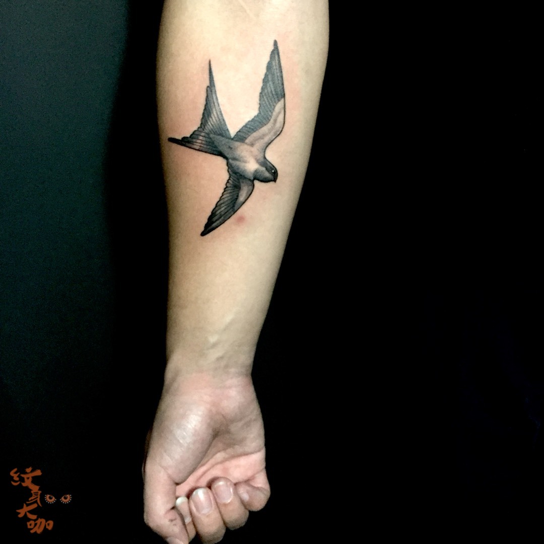 手臂燕子_纹身图案手稿图片_sunny的纹身作品集