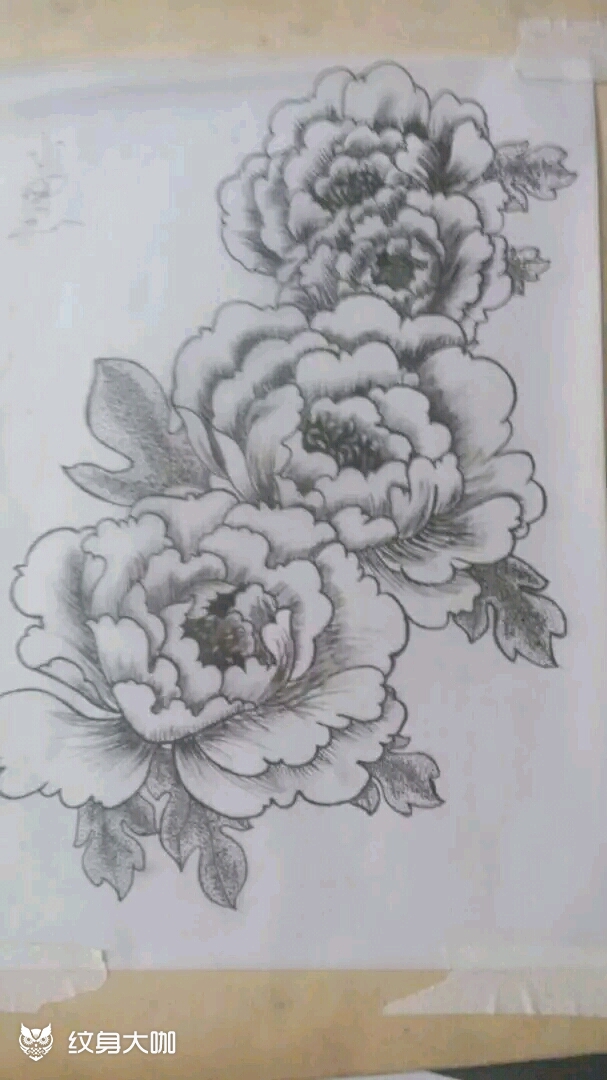 原创国花牡丹点线风格