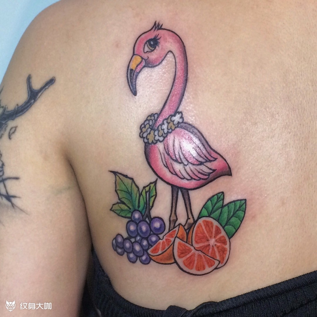 火烈鸟_纹身图案手稿图片_青的纹身作品集