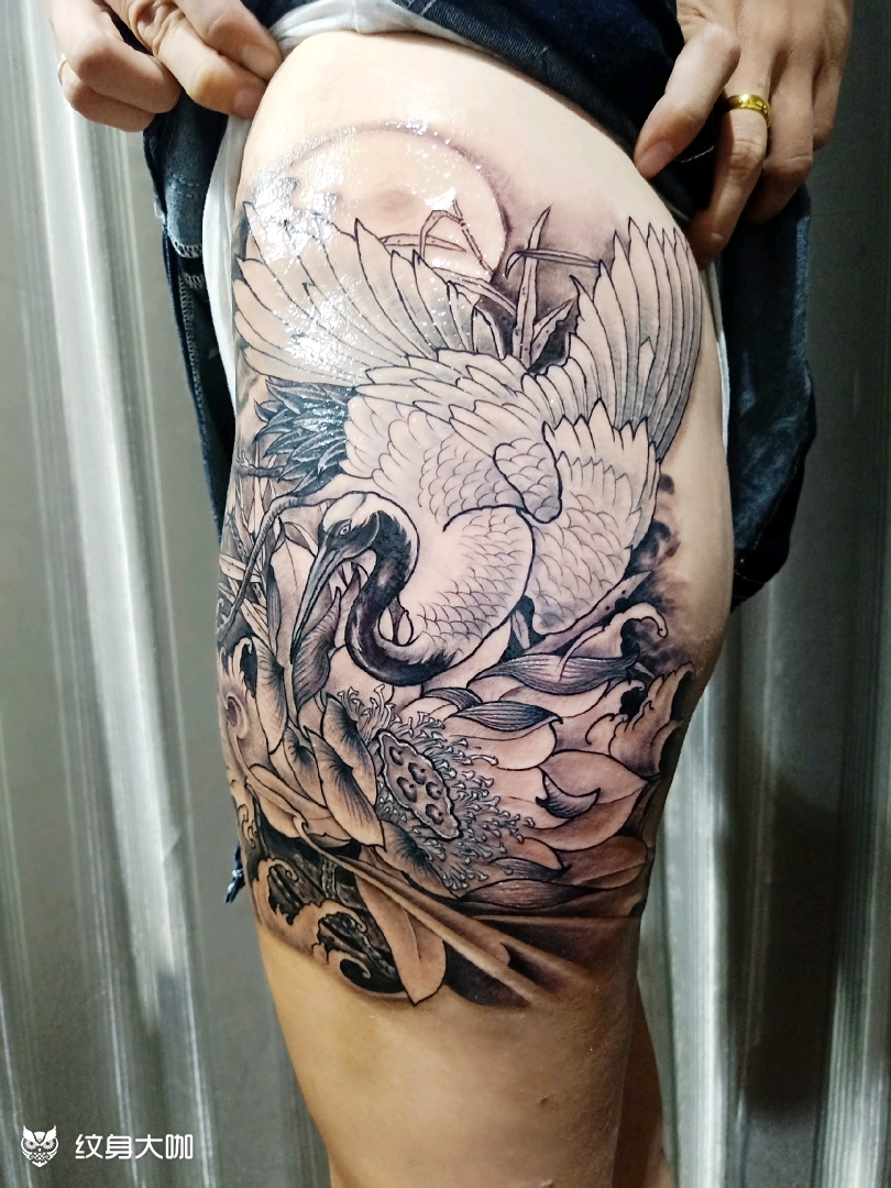 大腿仙鹤_纹身图案手稿图片_李世泽的纹身作品集