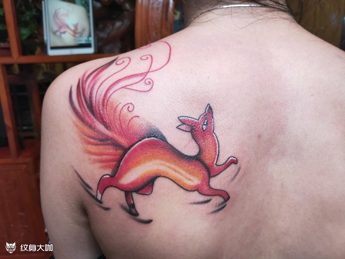 彩色九尾狐_纹身图案手稿图片_姚钧的纹身作品集