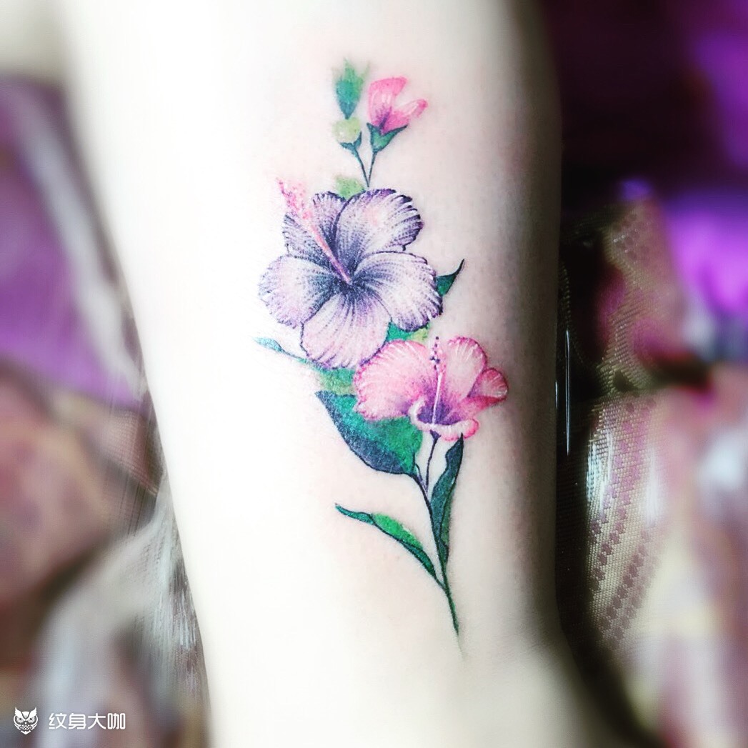 扶桑花_纹身图案手稿图片_文睿的纹身作品集