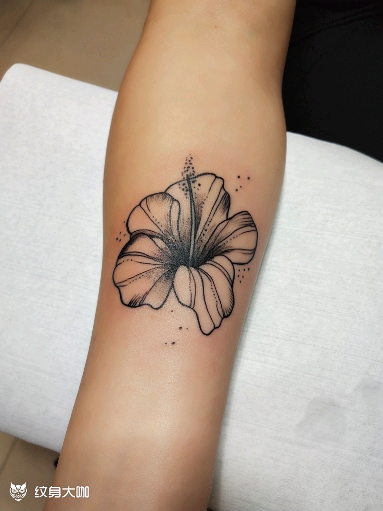 喇叭花_纹身图案手稿图片_王冰的纹身作品集