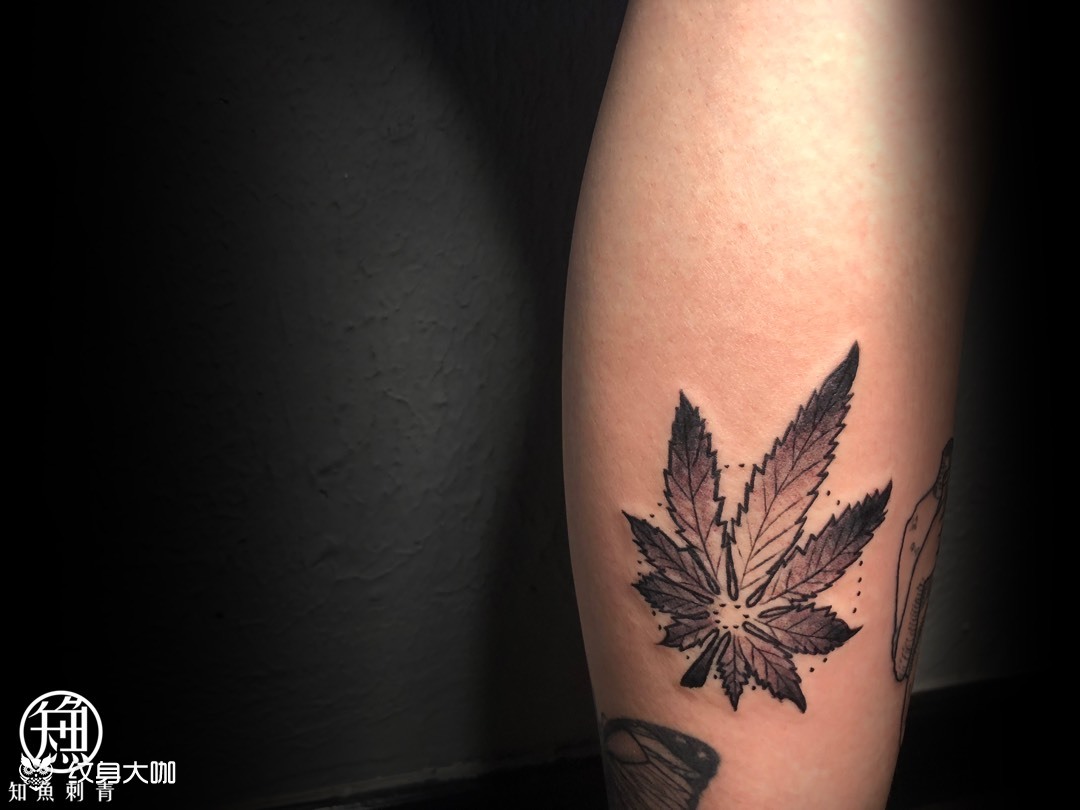 叶子_纹身图案手稿图片_十七的纹身作品集