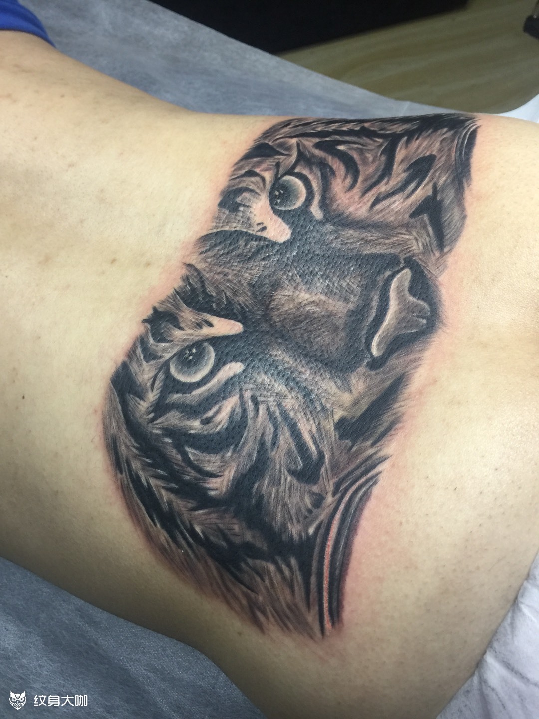 老虎半边脸_纹身图案手稿图片_阿豹的纹身作品集