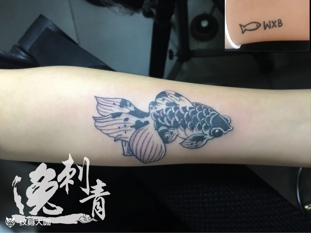 金鱼遮盖_纹身图案手稿图片_逸-的纹身作品集
