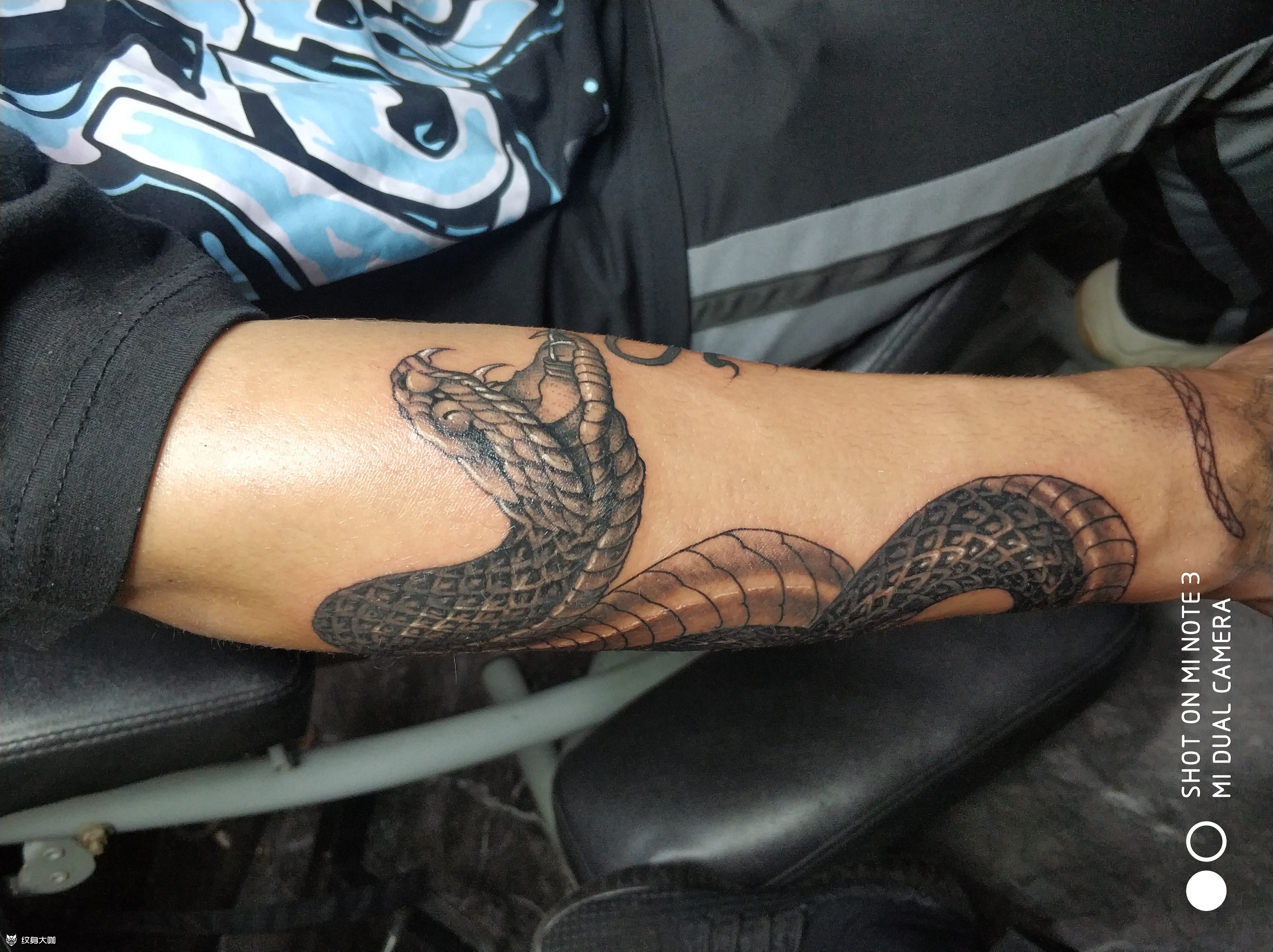 盘蛇作品_纹身图案手稿图片_黄国栋的纹身作品集