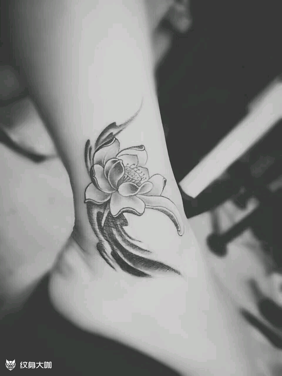 莲花