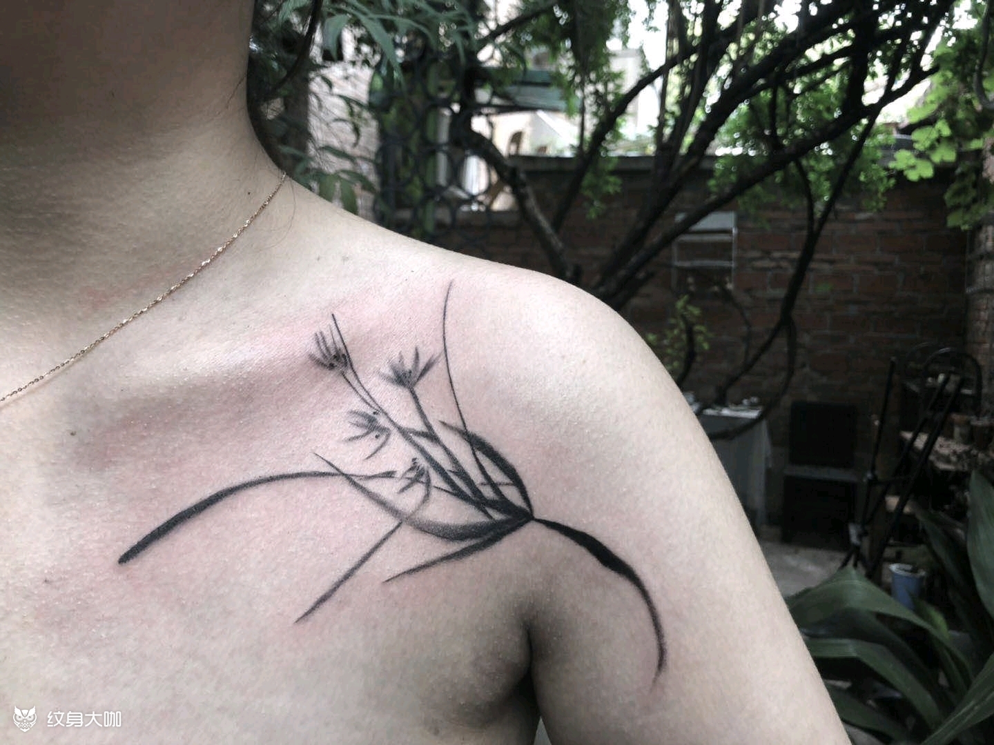 锁骨兰花青春是离别时 老师送_纹身吧社区 - 纹身大咖