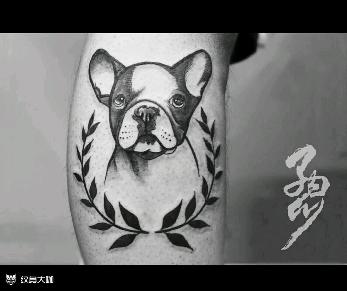 法斗_纹身图案手稿图片_tt的纹身作品集