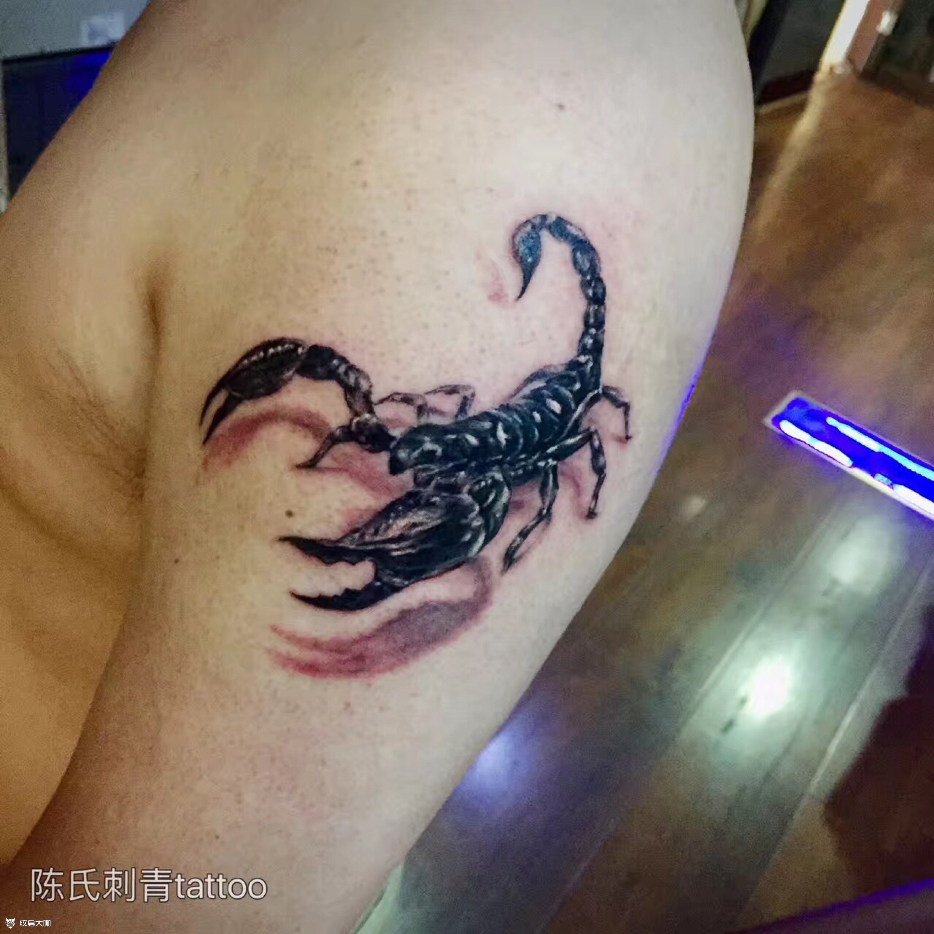 写实 蝎子_纹身图案手稿图片_强子的纹身作品集