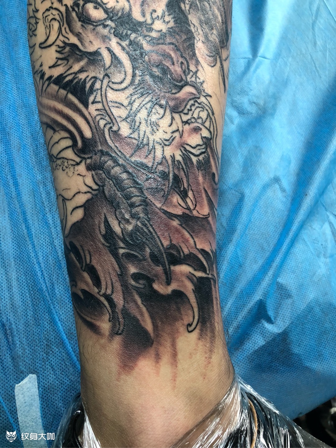 包小腿龙_纹身图案手稿图片_赵珂的纹身作品集