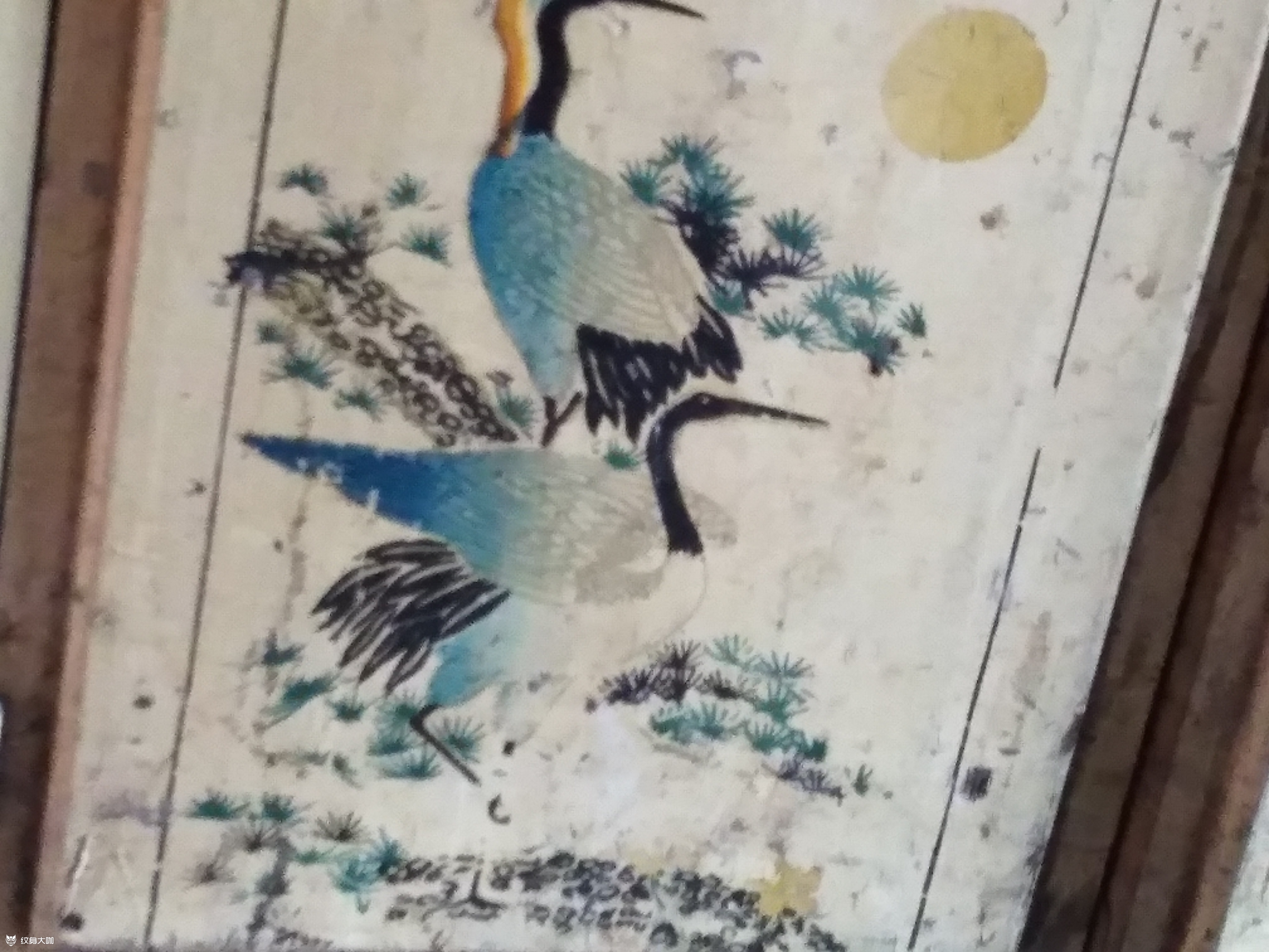 谁有特殊身份中安志杰的九头蛇纹_纹身吧社区 - 纹身大咖