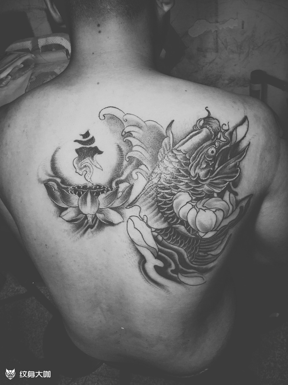 鲤鱼莲花未完成_纹身图案手稿图片_陈威的纹身作品集