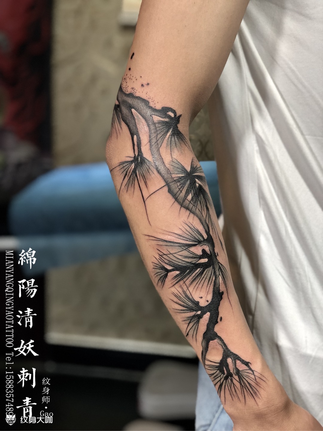 日式松树纹身图片