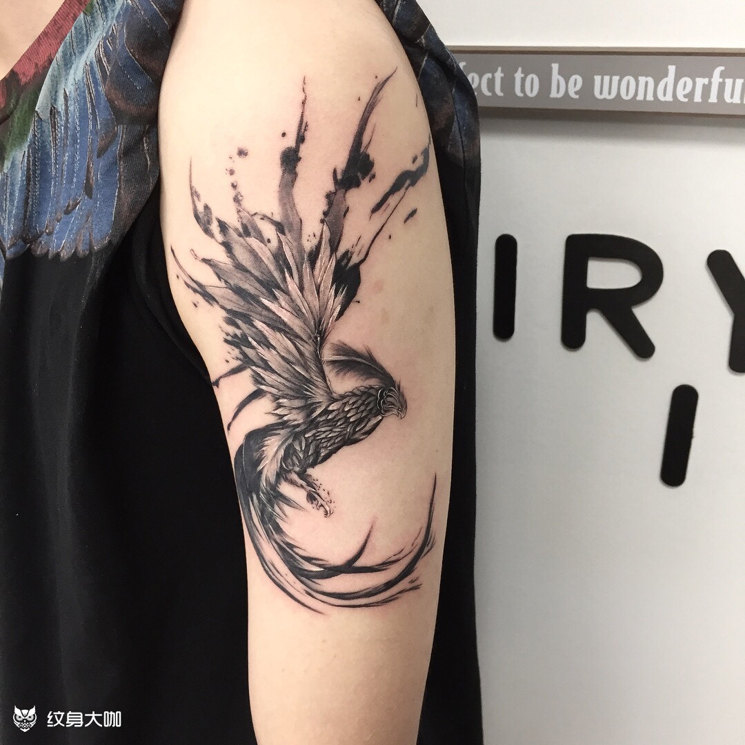 泼墨风凤凰_纹身图案手稿图片_李雪竹的纹身作品集