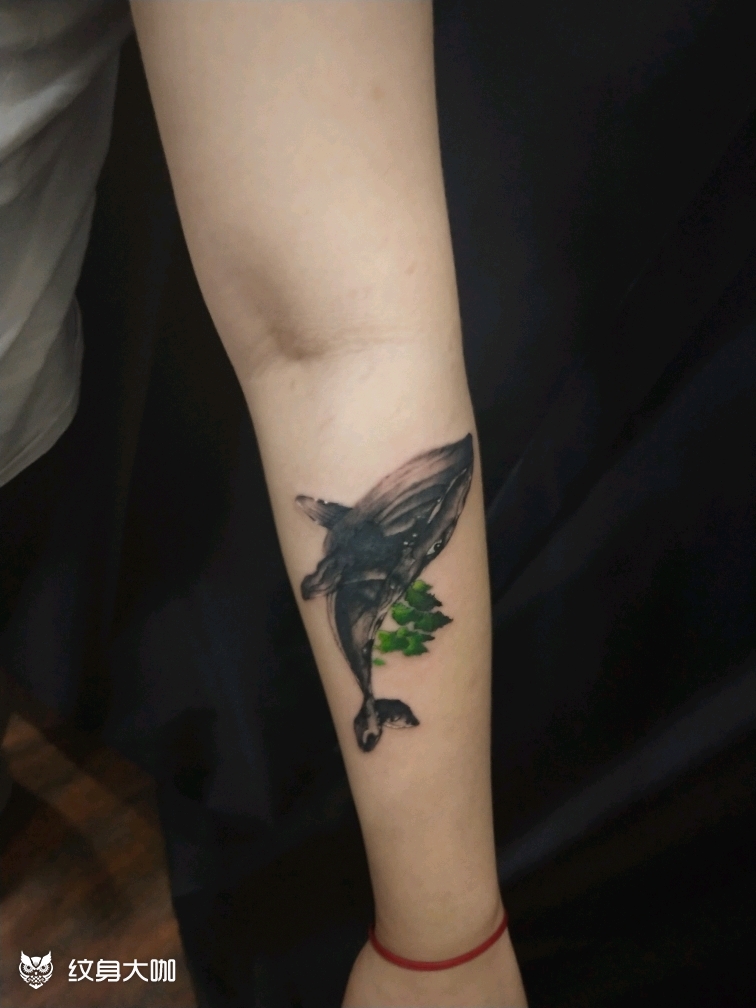 顽皮鲸鱼_纹身图案手稿图片_朱辰枫的纹身作品集