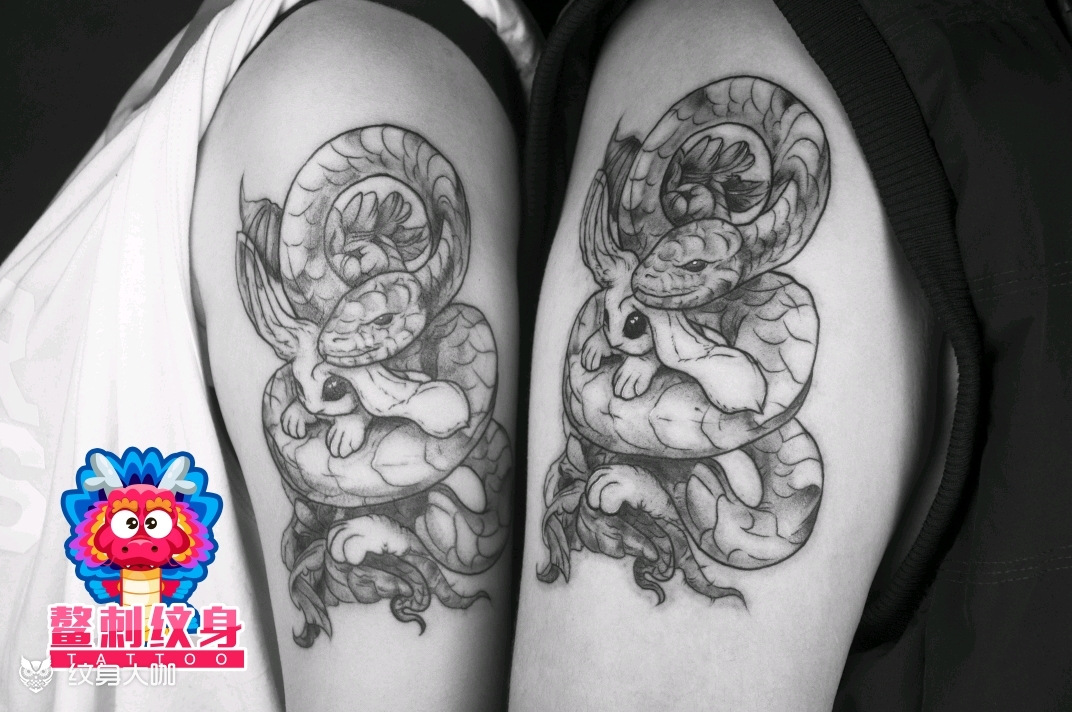 蛇盘兔_纹身图案手稿图片_马小天的纹身作品集